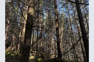 000 Alsea Hwy, Alsea, OR 97324 - Photo 27