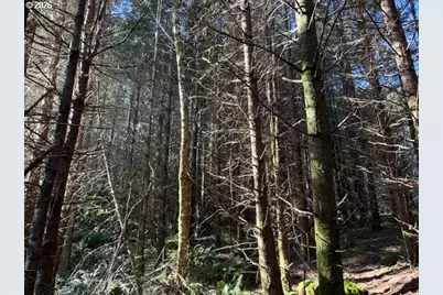 000 Alsea Hwy, Alsea, OR 97324 - Photo 29