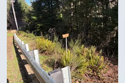 000 Alsea Hwy, Alsea, OR 97324 - Photo 11