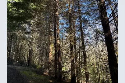 000 Alsea Hwy, Alsea, OR 97324 - Photo 25