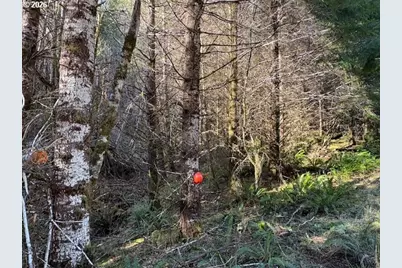 000 Alsea Hwy, Alsea, OR 97324 - Photo 21