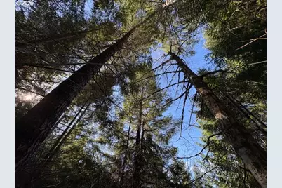 000 Alsea Hwy, Alsea, OR 97324 - Photo 3