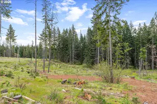 16 Snag Rd, Lyle, WA 98635 - Photo 43