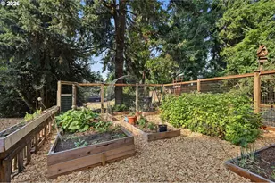 3835 Blanton Rd, Eugene, OR 97405 - Photo 43