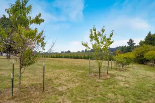 36211 SE Wildcat Mountain Dr, Eagle Creek, OR 97022 - Photo 35