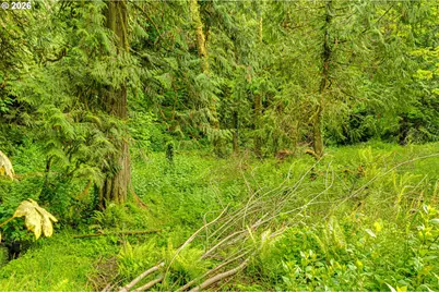 136 Charleston Dr, Kalama, WA 98625 - Photo 37