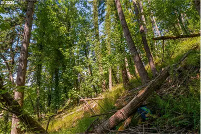 S 70th St, Springfield, OR 97478 - Photo 21