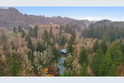 40408 NE Cedar Ridge Rd, Amboy, WA 98601 - Photo 39