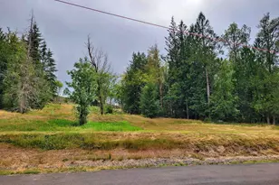 616 Smokey Valley Rd, Toledo, WA 98591 - Photo 37