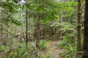 40401 NE Miller Rd, Washougal, WA 98671 - Photo 41