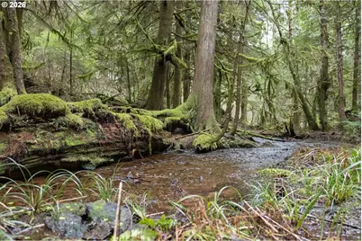 40401 NE Miller Rd, Washougal, WA 98671 - Photo 41