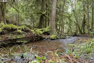 40401 NE Miller Rd, Washougal, WA 98671 - Photo 41