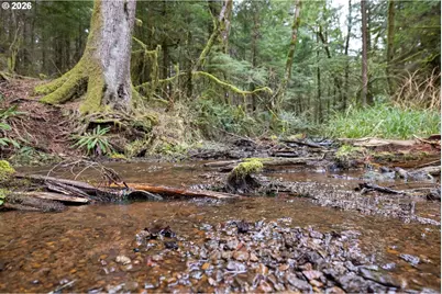 40401 NE Miller Rd, Washougal, WA 98671 - Photo 43