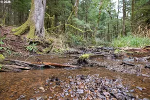 40401 NE Miller Rd, Washougal, WA 98671 - Photo 43