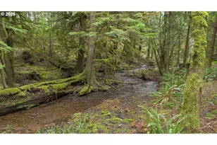 40401 NE Miller Rd, Washougal, WA 98671 - Photo 35