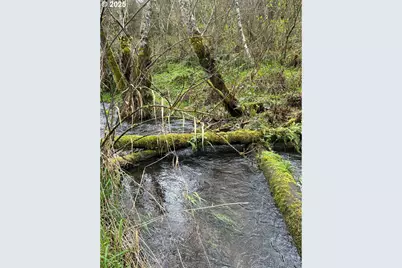 39402 NE 211th Ave, Amboy, WA 98601 - Photo 35