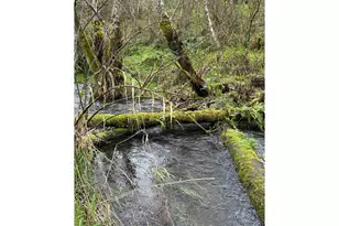 39402 NE 211th Ave, Amboy, WA 98601 - Photo 35