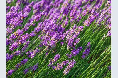 3500 SE Concord Rd #55, Milwaukie, OR 97267 - Photo 29