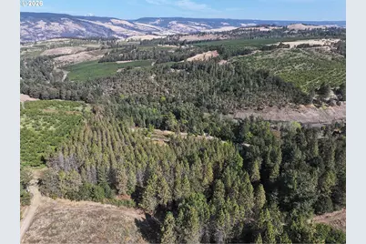 1250 Dry Creek Rd, Mosier, OR 97040 - Photo 35