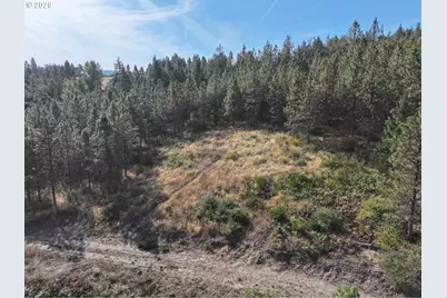 1250 Dry Creek Rd, Mosier, OR 97040 - Photo 33