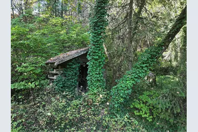 1250 Dry Creek Rd, Mosier, OR 97040 - Photo 23