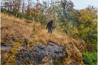 4300 Old Pacific Hwy, Kelso, WA 98626 - Photo 41