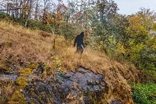 4300 Old Pacific Hwy, Kelso, WA 98626 - Photo 41