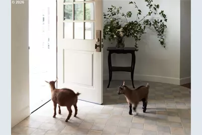 3585 Deer Lake Ct SE, Salem, OR 97317 - Photo 5