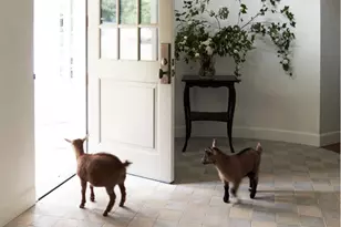 3585 Deer Lake Ct SE, Salem, OR 97317 - Photo 5