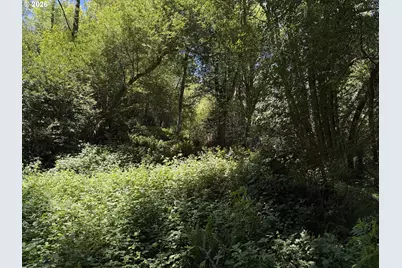 Bobcat Dr TL #700, Brookings, OR 97415 - Photo 5