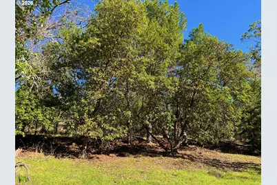 540 Horizon Ln, Myrtle Creek, OR 97457 - Photo 13