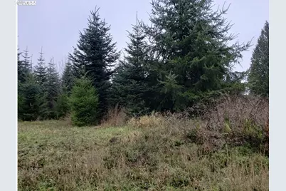 0000 Andy Thomas Rd, Rainier, OR 97048 - Photo 3