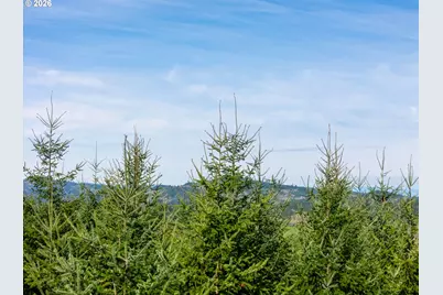 0 Berlin Ridge Rd, Lebanon, OR 97355 - Photo 17