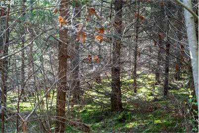 0 Berlin Ridge Rd, Lebanon, OR 97355 - Photo 15