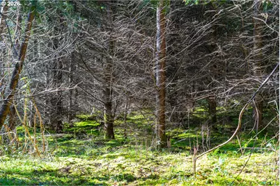 0 Berlin Ridge Rd, Lebanon, OR 97355 - Photo 13