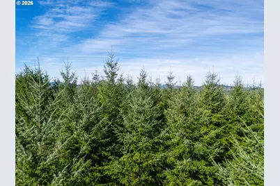 0 Berlin Ridge Rd, Lebanon, OR 97355 - Photo 9