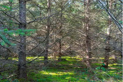 0 Berlin Ridge Rd, Lebanon, OR 97355 - Photo 11