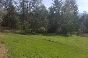 727 Hilltop Dr, Oakland, OR 97462 - Photo 33
