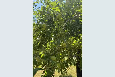 99301 Agness Rd, Gold Beach, OR 97444 - Photo 45