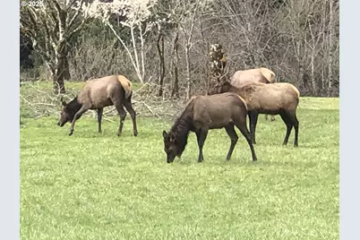 99301 Agness Rd, Gold Beach, OR 97444 - Photo 41