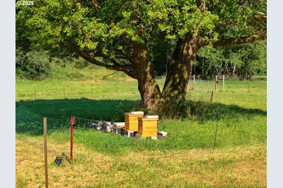 99301 Agness Rd, Gold Beach, OR 97444 - Photo 17