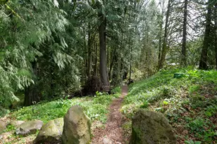 69947 E Hwy 26, Rhododendron, OR 97049 - Photo 19