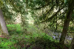 69947 E Hwy 26, Rhododendron, OR 97049 - Photo 11