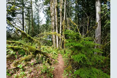 69947 E Highway 26 #1, Rhododendron, OR 97049 - Photo 17