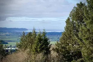 990 Skyline Dr, Tillamook, OR 97141 - Photo 41