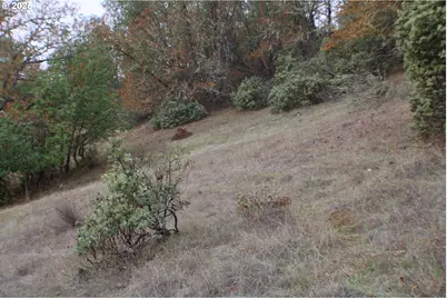 1320 Shoestring Rd, Riddle, OR 97469 - Photo 47