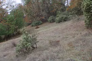 1320 Shoestring Rd, Riddle, OR 97469 - Photo 47