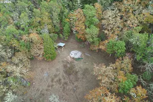 1320 Shoestring Rd, Riddle, OR 97469 - Photo 35