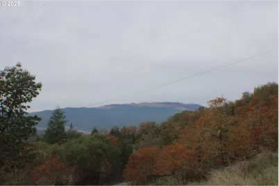 1320 Shoestring Rd, Riddle, OR 97469 - Photo 45