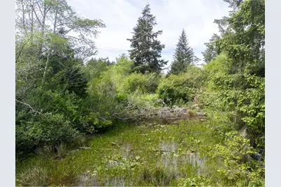 Rock Creek, Rockaway Beach, OR 97136 - Photo 11